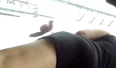 دوست اوا و همه نوع هتل sexزنان چاق